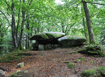 Circuit de randonnée : Boucle du dolmen Chevresse - Saint Brisson