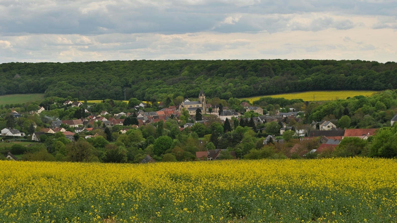 Le sentier des Orchidées