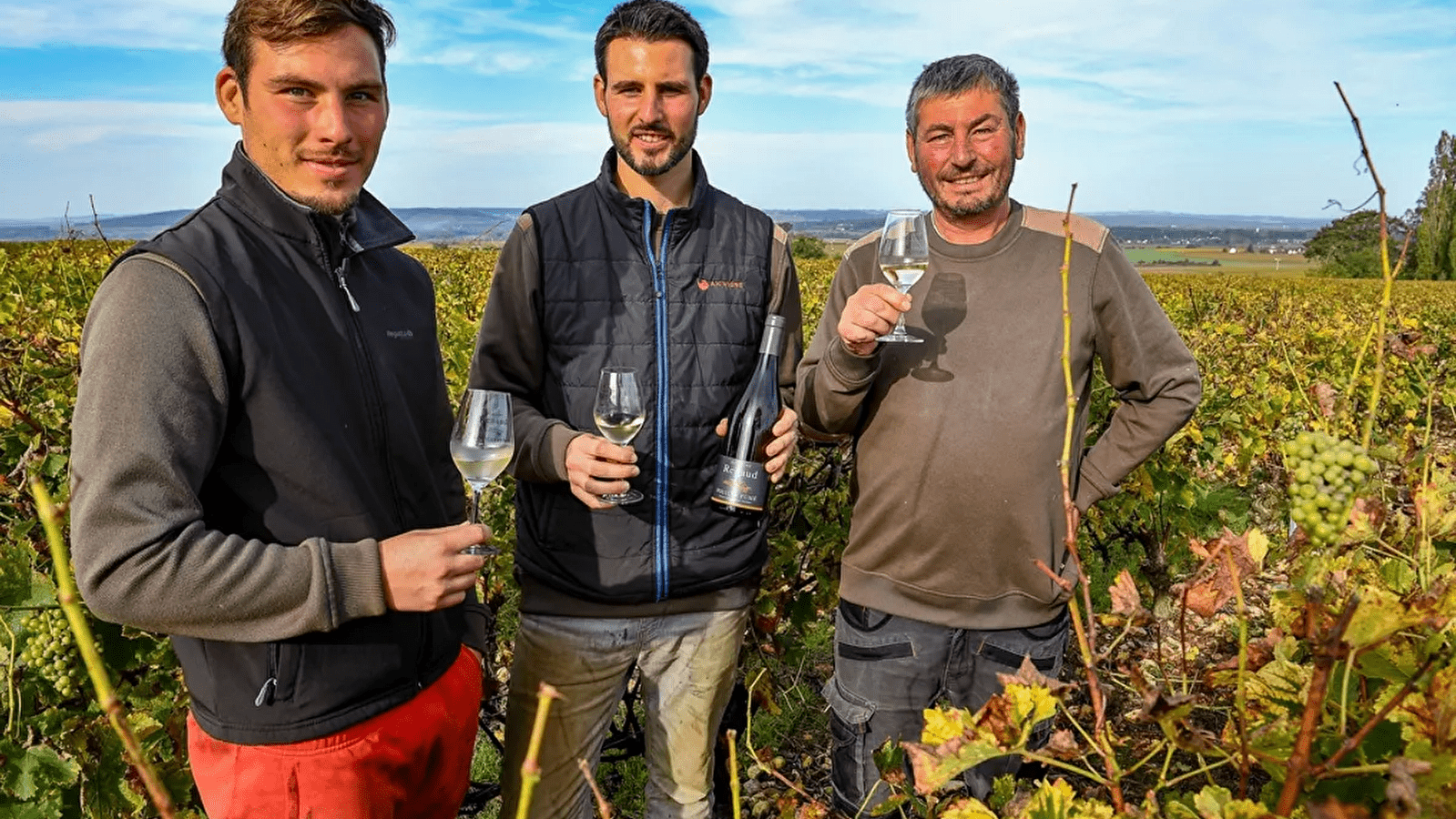 Domaine Renaud et Fils