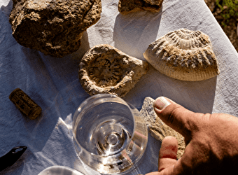 Pouilly Jurassic Tour - SAINT-ANDELAIN