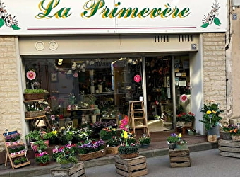 La Primevère - CORBIGNY