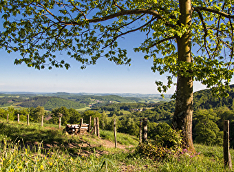 Panorama sur la Loire - CHARRIN