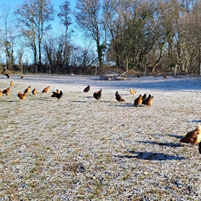 La Ferme de Jessi