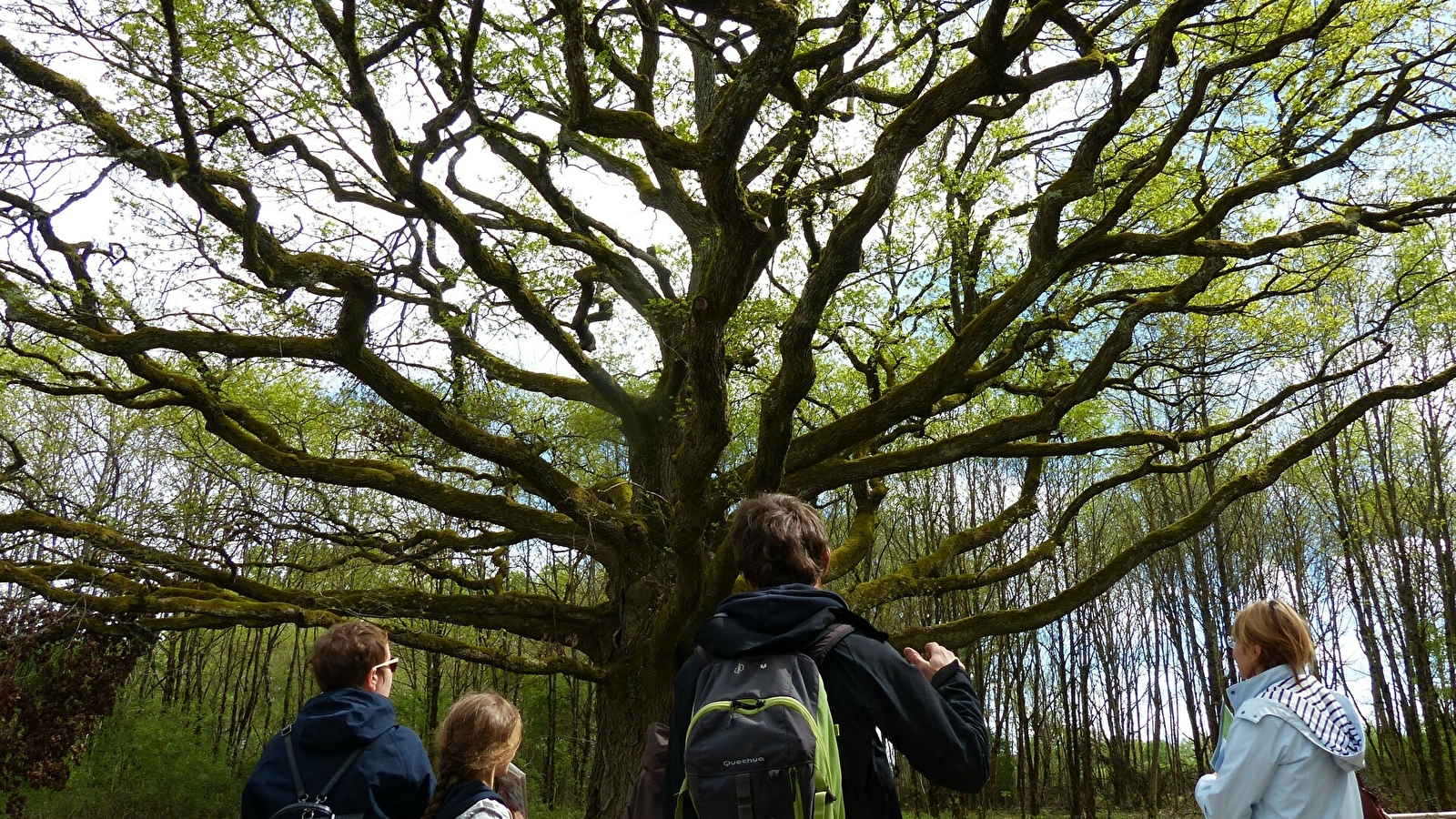 Les sentiers de l'Arche de la biodiversité