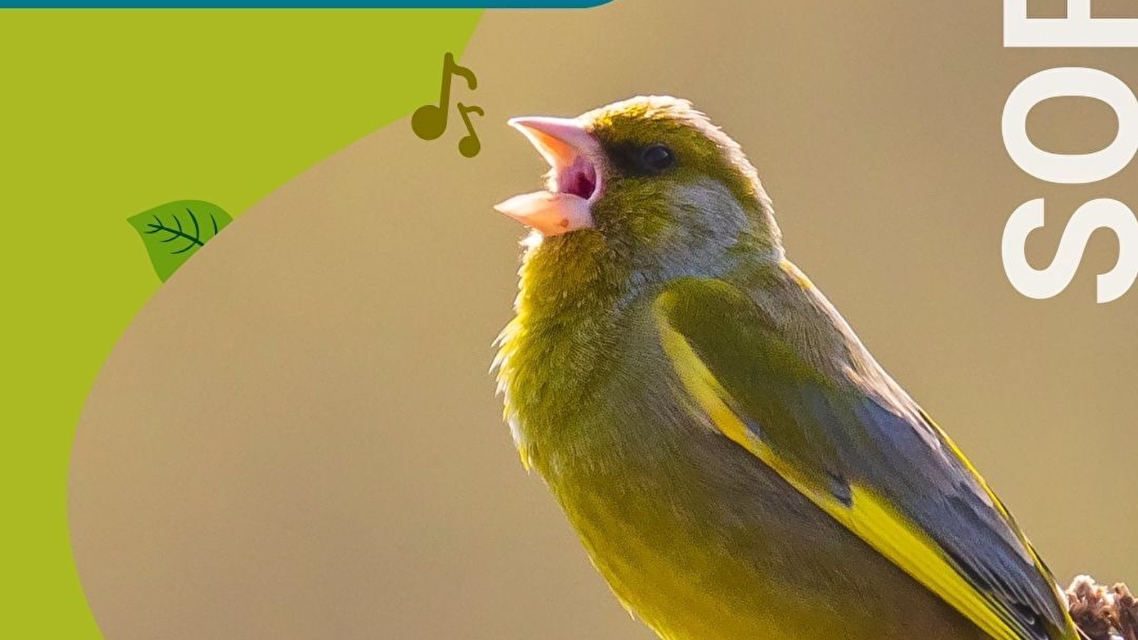 Visite-sortie 'Animusée-vous ! A l'écoute des animaux'