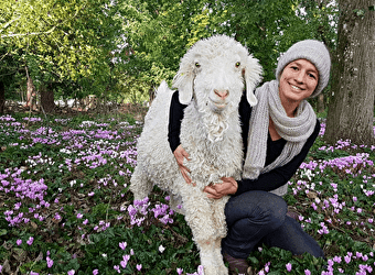 La Fée Mohair - TROIS-VEVRES