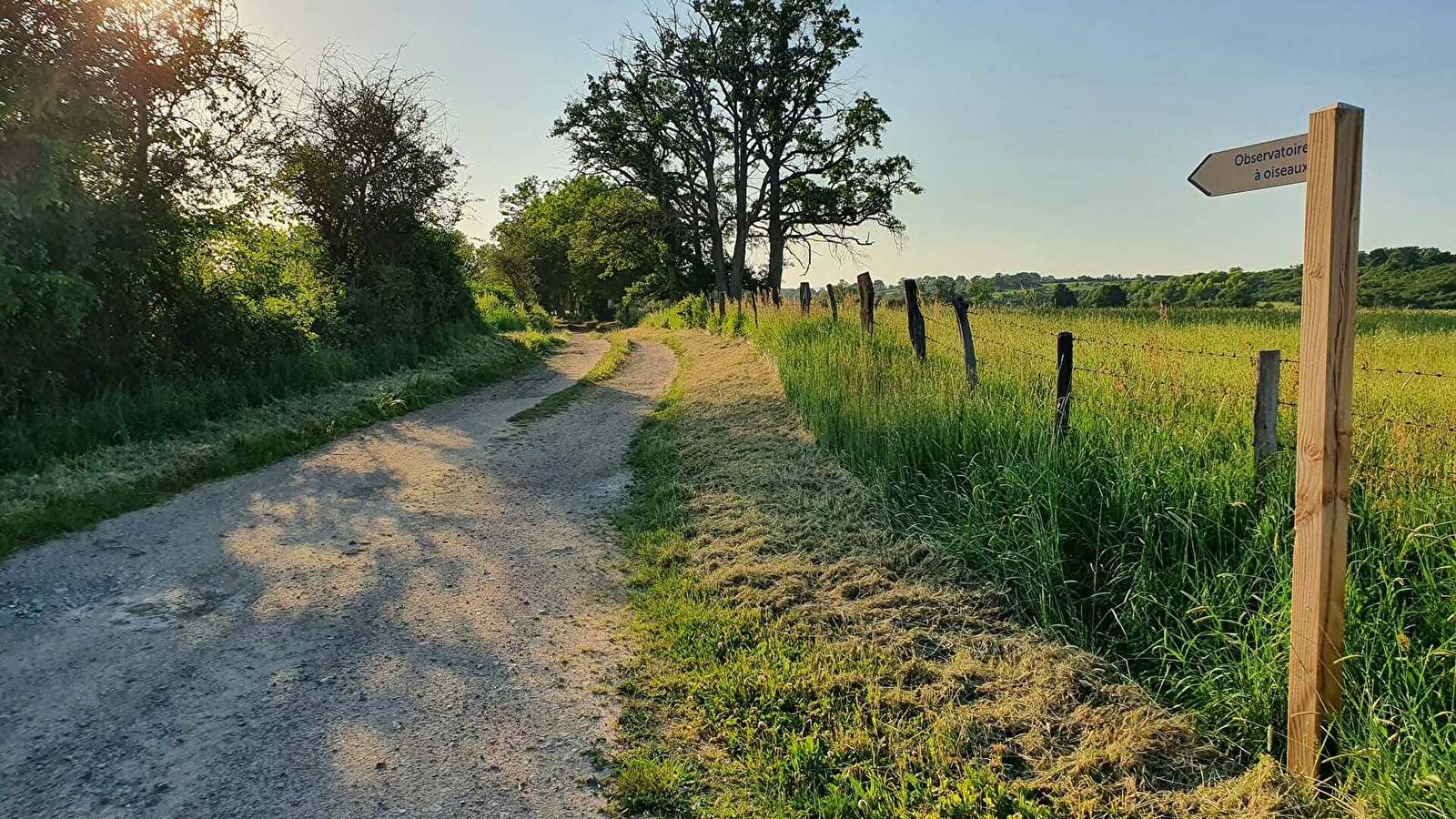 Randonnées à Devay / Circuit Les Appelettes