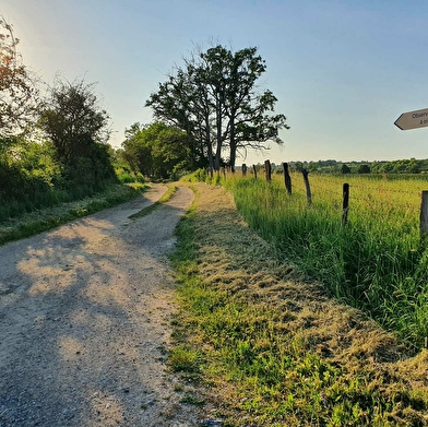 Randonnées à Devay / Circuit Les Appelettes