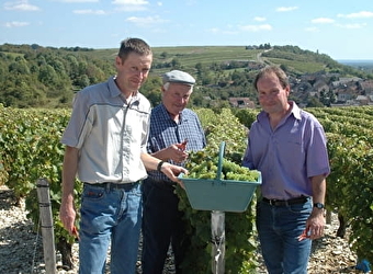 Domaine Pierre Marchand et Fils - POUILLY-SUR-LOIRE