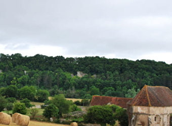 Chartreuse Notre Dame du Val Saint-Jean de Basseville - POUSSEAUX