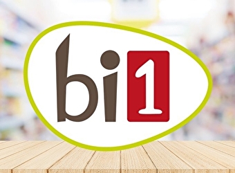 Bi1 - CHATILLON-EN-BAZOIS