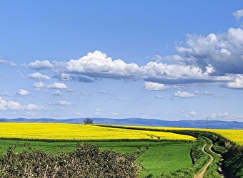 Liaison Châtillon-en-Bazois - Montapas - Étang de Baye Grande boucle - CHATILLON-EN-BAZOIS