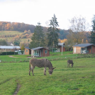 Chalets du camping des Prés de la Ville 