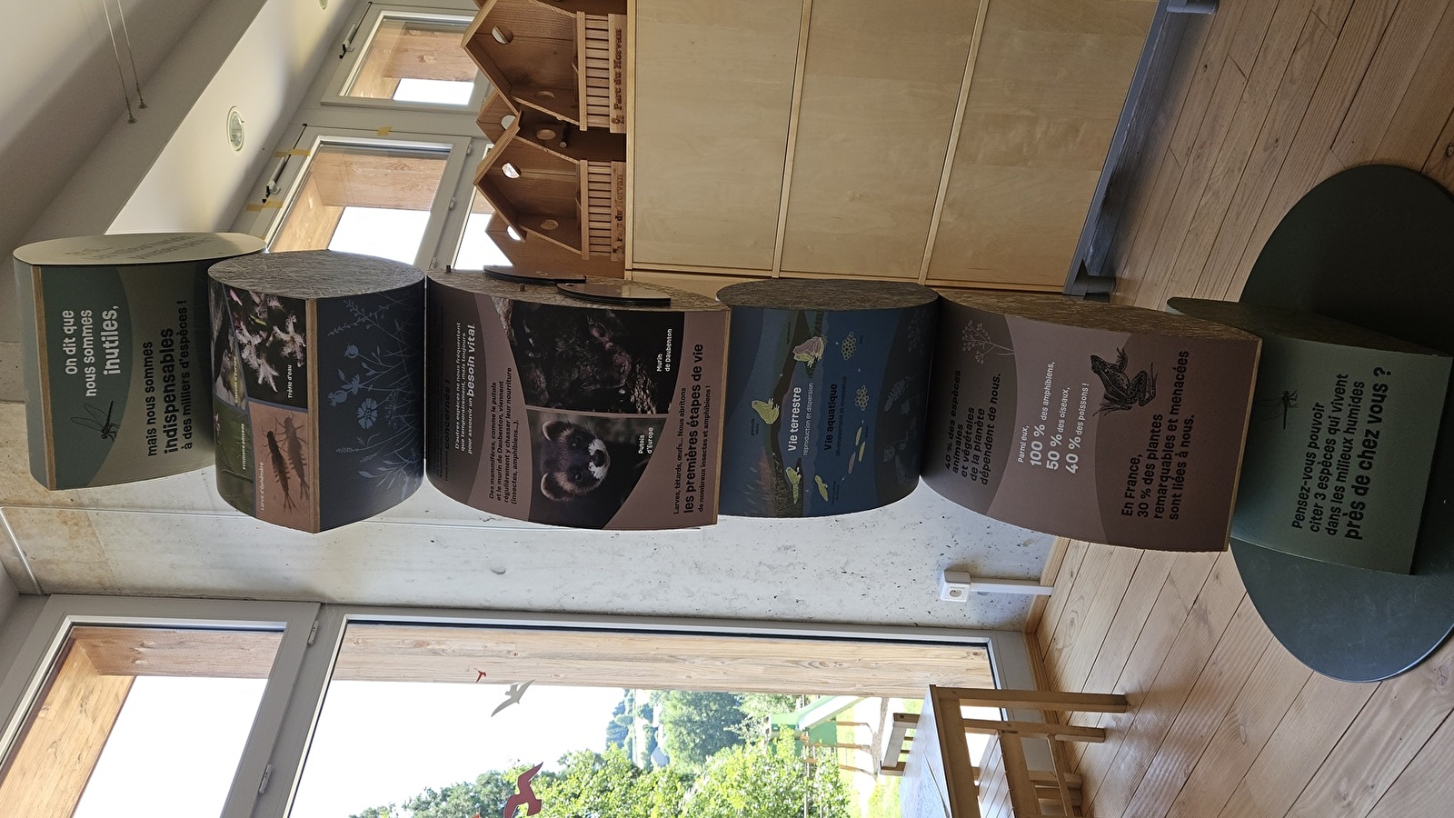 Exposition 'Le Manifeste des mal-aimés'