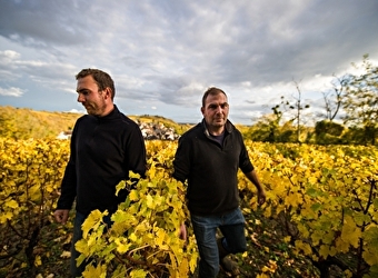 Domaine des Rabichattes - TRACY-SUR-LOIRE