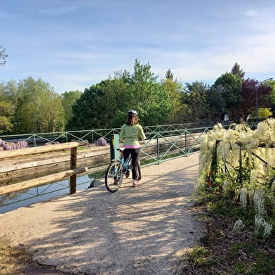 Balade à vélo entre Decize et Fleury-sur-Loire
