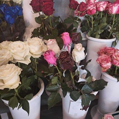Christel Fleurs