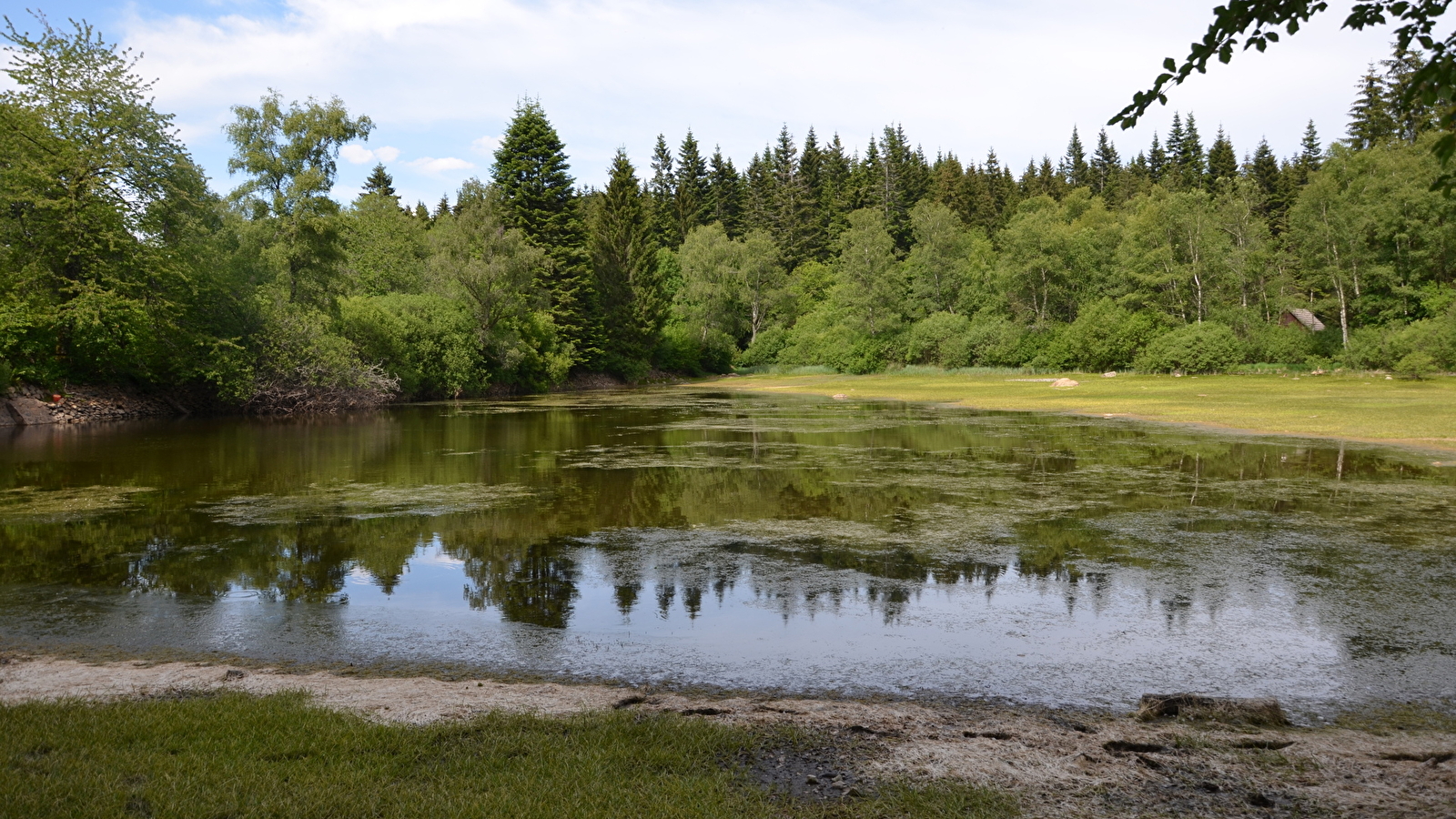 Balade nature : Préperny, trésor du Haut-Folin, lundi 13 avril 2026