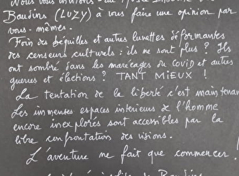 Musée insolite - LUZY