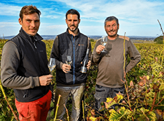 Domaine Renaud et Fils - SAINT-ANDELAIN