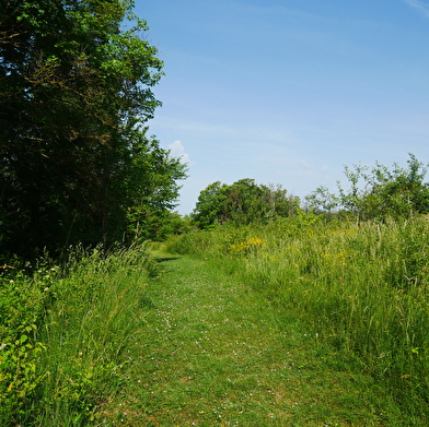 Sentier de la nature du Coteau du Chaumois à Parigny-les-Vaux