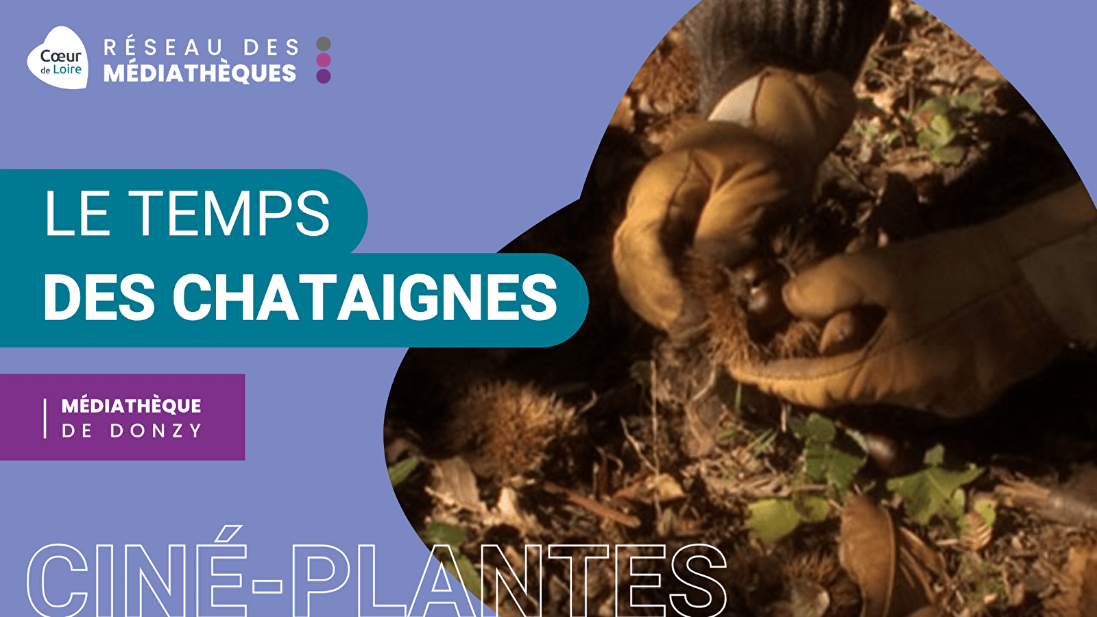 Ciné-plantes 'Le temps des châtaignes' avec Fanny Cadoux