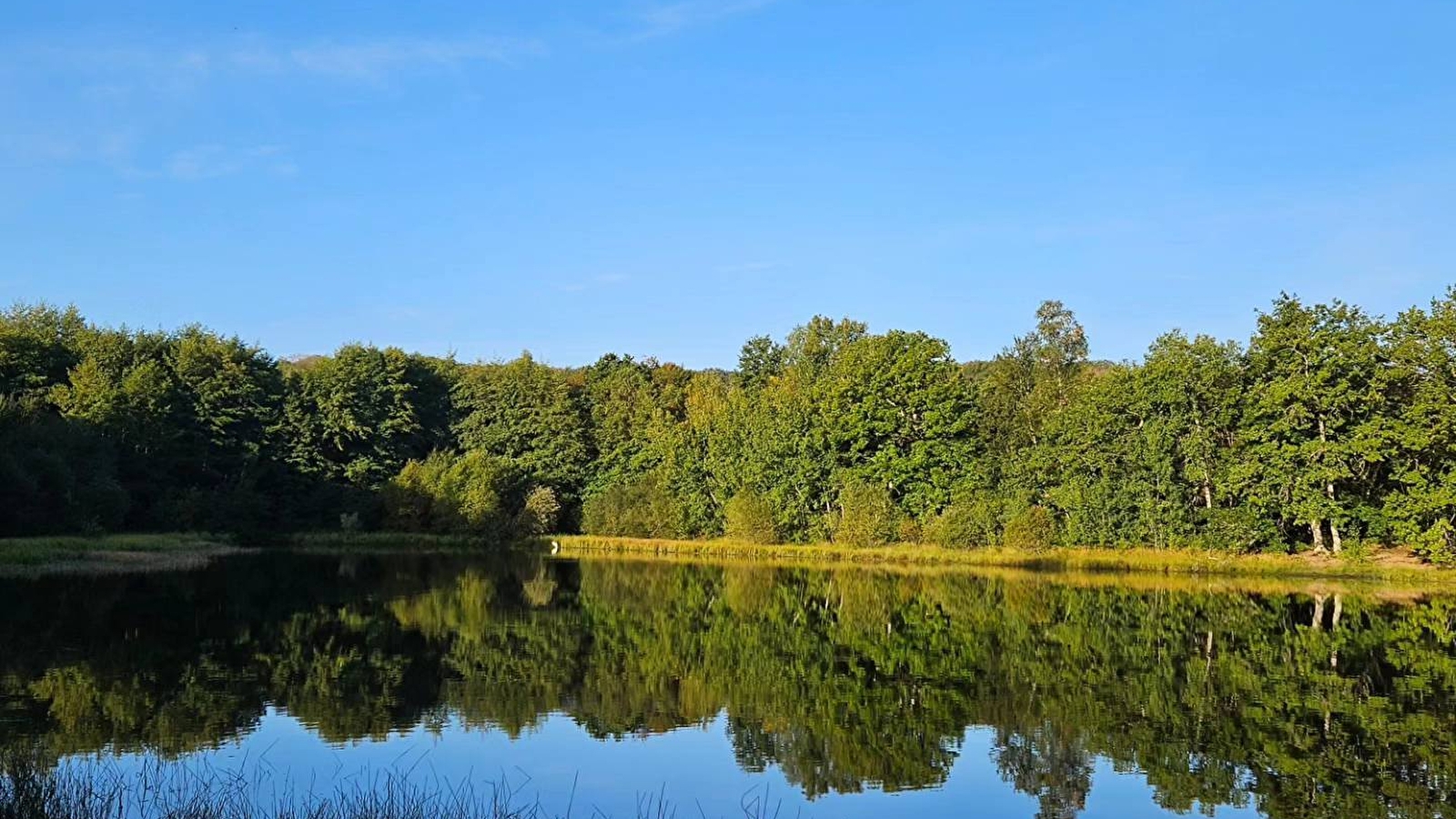 Etang du Merle