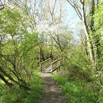 Balade famille : Sentier-nature du Passeur du Bec d'Allier