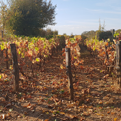 Domaine de Bel-Air