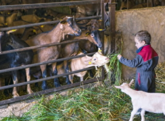 La Ferme du Port Aubry - COSNE-COURS-SUR-LOIRE