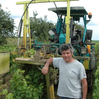 Domaine Caïlbourdin 