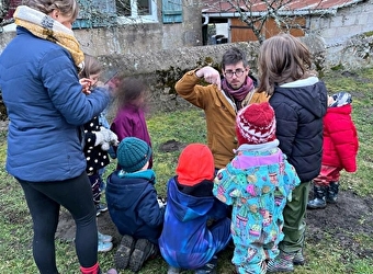 La Fourmi Vagabonde - SAINT-BRISSON