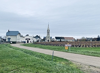 Chasse aux trésors 'Le mystère des géants' - SAINT-ANDELAIN