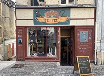 Bar à chats 'Cats and Coffee' - CLAMECY