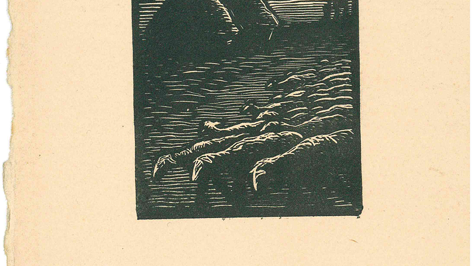 ARTnimaux ! Domestique de la ferme