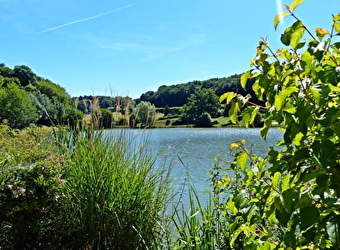 Circuit de Chassy - SAUVIGNY-LES-BOIS