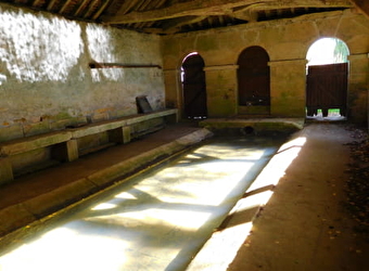 La Balade des étangs - CHAMPLEMY
