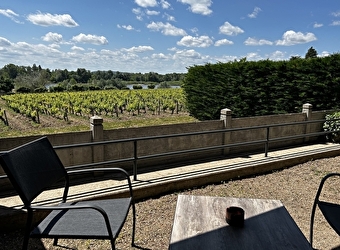 L'Espérance, vue sur la vigne et la Loire - POUILLY-SUR-LOIRE