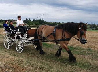 Attelage Randonnée Morvan - SAIZY