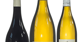 Domaine Guy Baudin - POUILLY-SUR-LOIRE
