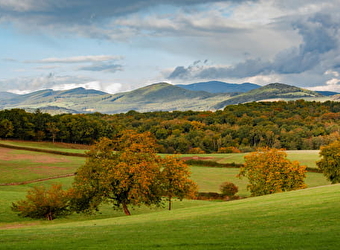 Circuit entre roches et Mont Beuvray - LAROCHEMILLAY
