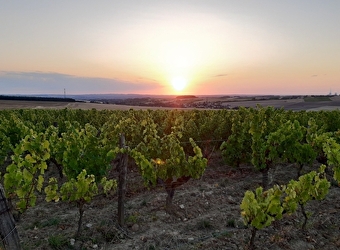 'It's Wine Time' sur les bords de Loire - MYENNES