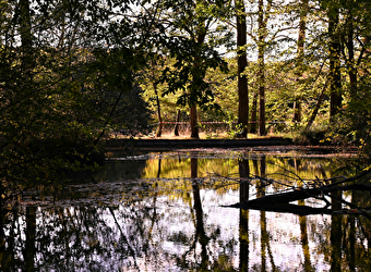 Fontaine des Bougers - RAVEAU