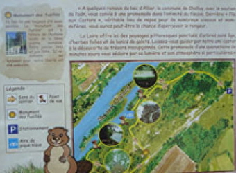 Parcours de l'île aux Castors par Nièvre Orientation Raid Découverte (N.O.R.D 58) - CHALLUY
