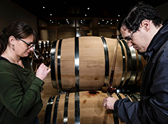 Domaine Arnaud et Stéphanie Dezat - VERDIGNY