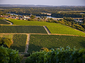 Yoga et Vins - POUILLY-SUR-LOIRE