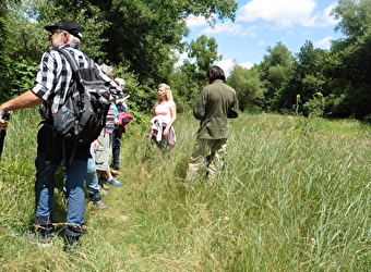 Sortie nature : Cuisine sauvage  - MARZY