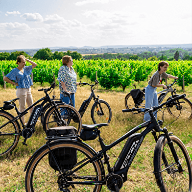 Échappée belle à vélo dans les Coteaux du Giennois 