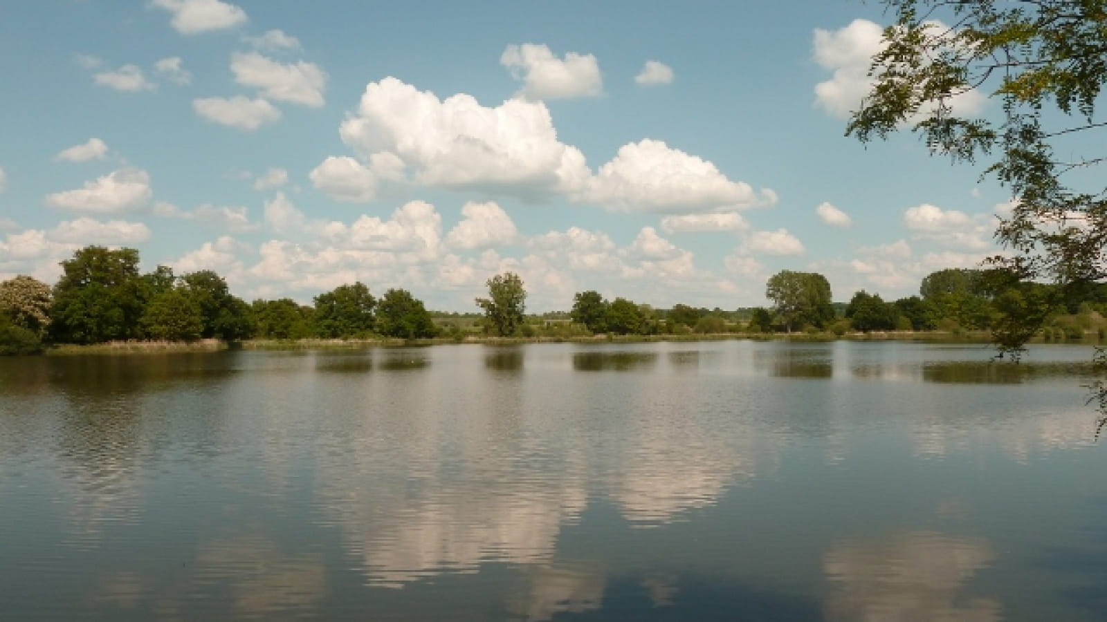 L'étang de Marvy