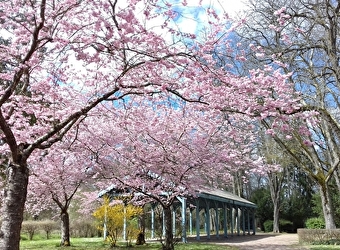Parc Saint Léger - POUGUES-LES-EAUX